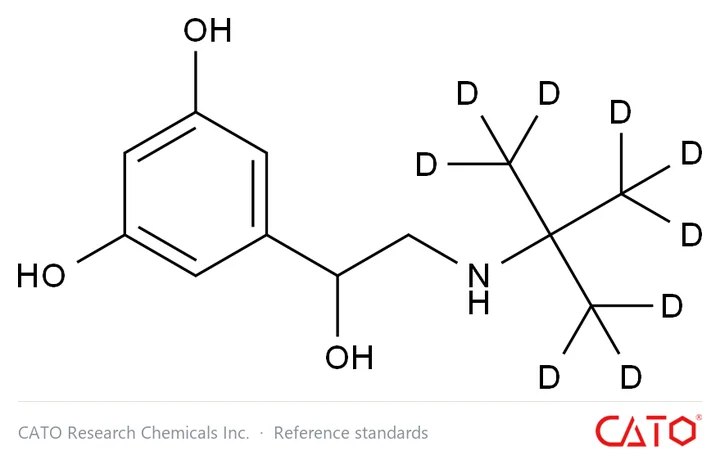 Chemical structure of Terbutaline-d9, CAS 1189658-09-0
